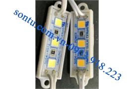  MODULE 3B-5054-NGẮN SS (4512)